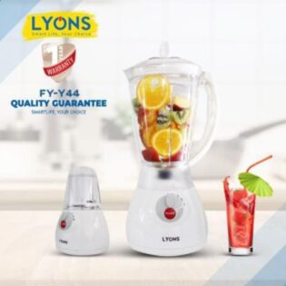 *2 in 1 Ailyons Blender