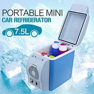 Portable car fridge