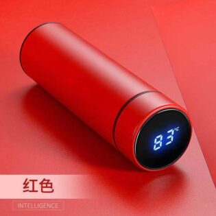 thermo cup with thermometer